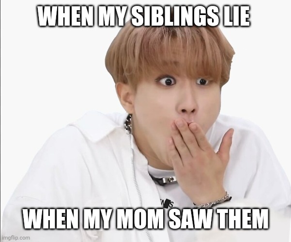 Han | WHEN MY SIBLINGS LIE; WHEN MY MOM SAW THEM | image tagged in han | made w/ Imgflip meme maker