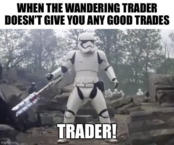 TRAITOR | WHEN THE WANDERING TRADER DOESN’T GIVE YOU ANY GOOD TRADES; TRADER! | image tagged in traitor | made w/ Imgflip meme maker