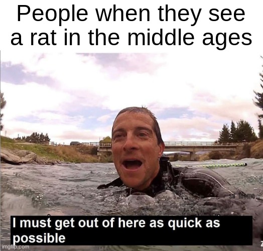 Bear Grylls | People when they see a rat in the middle ages | image tagged in bear grylls | made w/ Imgflip meme maker