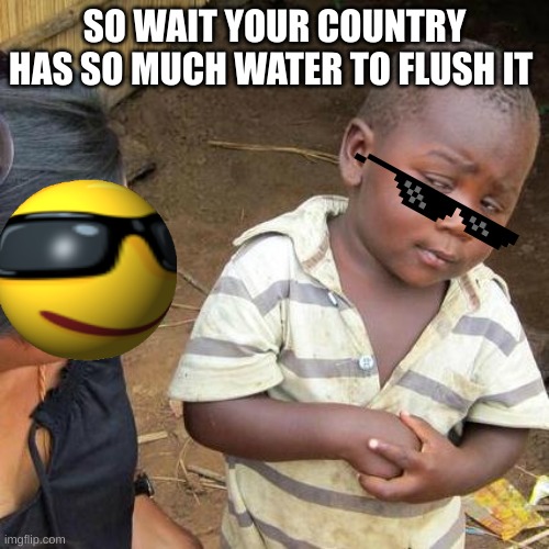 lol | SO WAIT YOUR COUNTRY HAS SO MUCH WATER TO FLUSH IT | image tagged in memes,third world skeptical kid | made w/ Imgflip meme maker