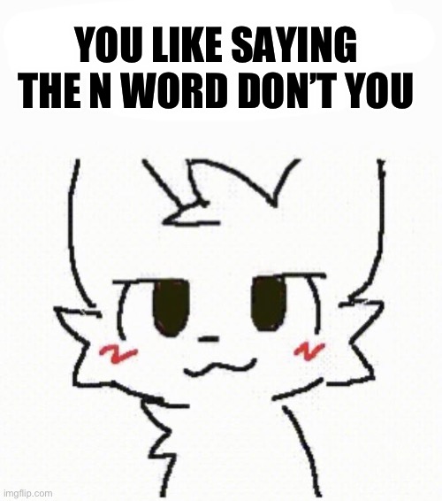 You like kissing boys don’t you | YOU LIKE SAYING THE N WORD DON’T YOU | image tagged in you like kissing boys don t you | made w/ Imgflip meme maker