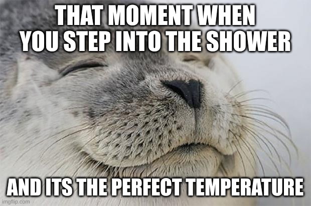 shower | THAT MOMENT WHEN YOU STEP INTO THE SHOWER; AND ITS THE PERFECT TEMPERATURE | image tagged in memes,satisfied seal | made w/ Imgflip meme maker