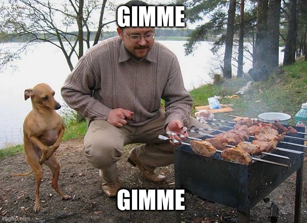 Hungry dog begging for food | GIMME; GIMME | image tagged in hungry dog begging for food | made w/ Imgflip meme maker