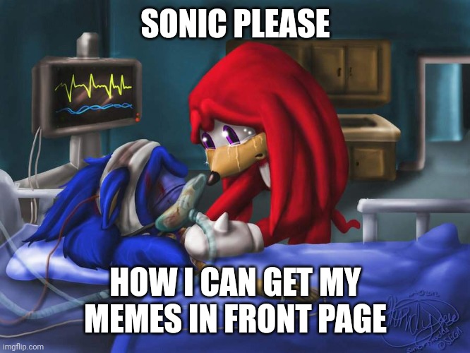 How? | SONIC PLEASE; HOW I CAN GET MY MEMES IN FRONT PAGE | image tagged in sonic please | made w/ Imgflip meme maker
