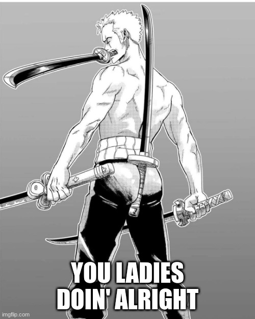 you good? | YOU LADIES DOIN' ALRIGHT | image tagged in zoro 4 sword style | made w/ Imgflip meme maker