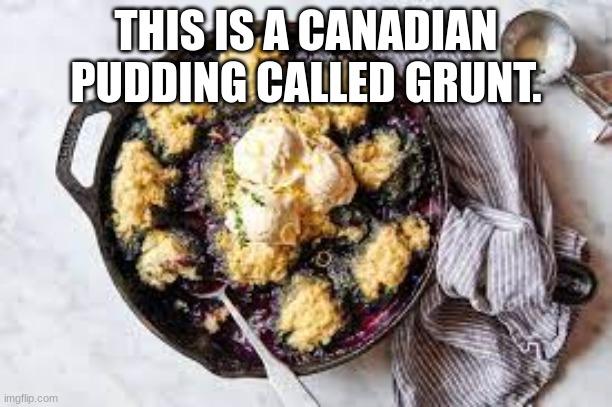 THIS IS A CANADIAN PUDDING CALLED GRUNT. | made w/ Imgflip meme maker