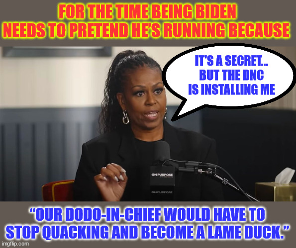 It's such a big secret everybody knows... | FOR THE TIME BEING BIDEN NEEDS TO PRETEND HE’S RUNNING BECAUSE; IT'S A SECRET...
BUT THE DNC IS INSTALLING ME; “OUR DODO-IN-CHIEF WOULD HAVE TO STOP QUACKING AND BECOME A LAME DUCK.” | image tagged in it is no secret,big mike,dnc chosen one,will announce at convention | made w/ Imgflip meme maker