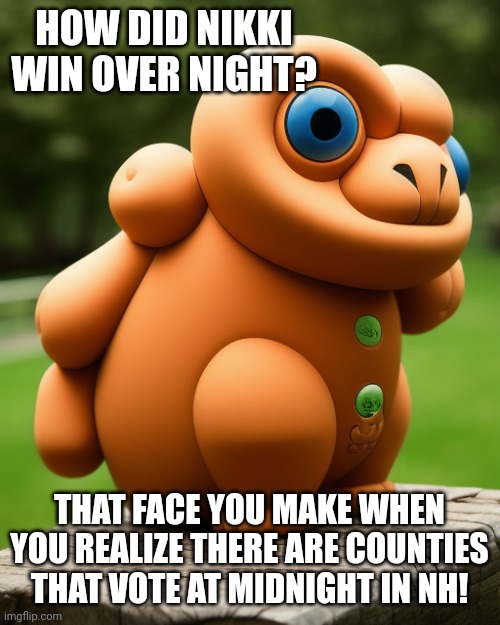 Have always voted at midnight..... | HOW DID NIKKI WIN OVER NIGHT? THAT FACE YOU MAKE WHEN YOU REALIZE THERE ARE COUNTIES THAT VOTE AT MIDNIGHT IN NH! | image tagged in the noise that goes squonk | made w/ Imgflip meme maker
