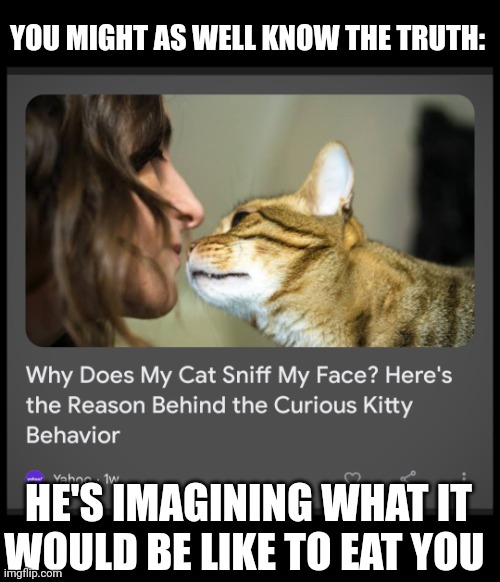 You know it's true | YOU MIGHT AS WELL KNOW THE TRUTH:; HE'S IMAGINING WHAT IT WOULD BE LIKE TO EAT YOU | image tagged in cats | made w/ Imgflip meme maker