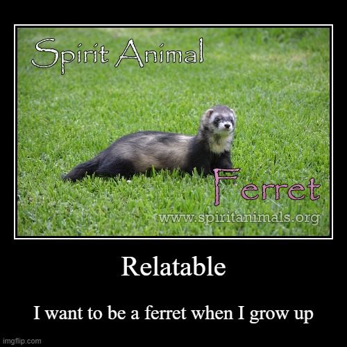 Relatable | I want to be a ferret when I grow up | image tagged in funny,demotivationals | made w/ Imgflip demotivational maker