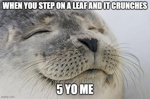 Leifs | WHEN YOU STEP ON A LEAF AND IT CRUNCHES; 5 YO ME | image tagged in memes,satisfied seal | made w/ Imgflip meme maker