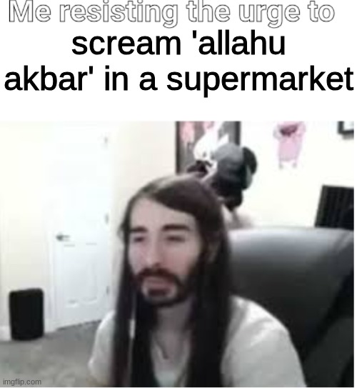 my friends | scream 'allahu akbar' in a supermarket | image tagged in me resisting the urge to x | made w/ Imgflip meme maker