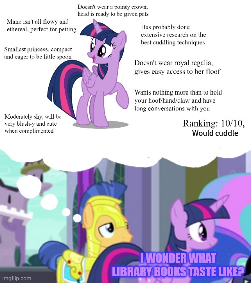 Twilight x Flash | Would cuddle I WONDER WHAT LIBRARY BOOKS TASTE LIKE? | image tagged in flashlight,mlp,ships | made w/ Imgflip meme maker