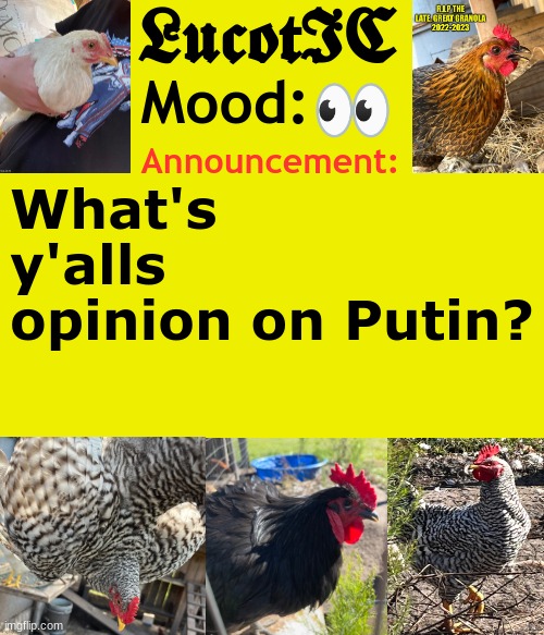 . | 👀; What's y'alls opinion on Putin? | image tagged in lucotic's cocks announcement template | made w/ Imgflip meme maker