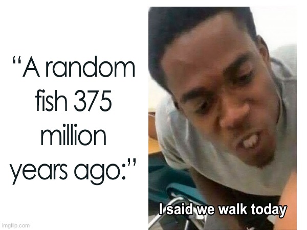 so technically you can say "I'm going to take my fish for a walk" and not be lying | image tagged in repost,evolution,revolution,did not ask,so true | made w/ Imgflip meme maker
