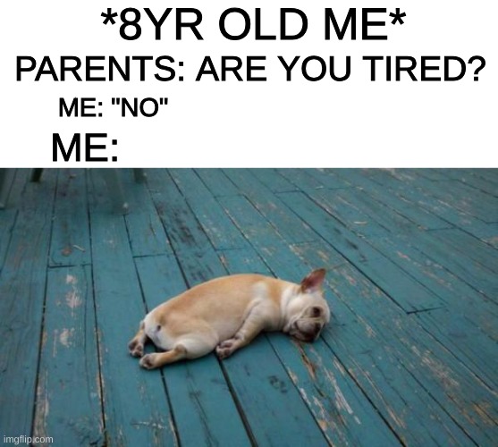 Im tired rn | *8YR OLD ME*; PARENTS: ARE YOU TIRED? ME: "NO"; ME: | image tagged in tired dog | made w/ Imgflip meme maker