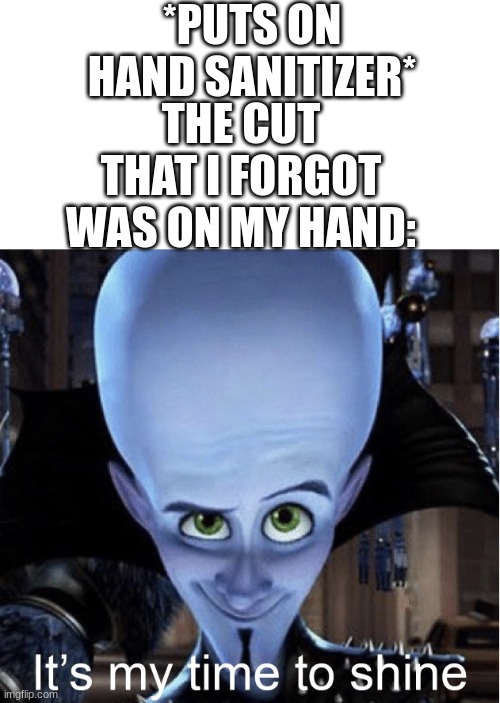 sting | *PUTS ON HAND SANITIZER*; THE CUT THAT I FORGOT WAS ON MY HAND: | image tagged in megamind it s my time to shine,fun,relatable,so true memes | made w/ Imgflip meme maker