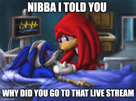 sonic i told you | NIBBA I TOLD YOU; WHY DID YOU GO TO THAT LIVE STREAM | image tagged in sonic i told you | made w/ Imgflip meme maker