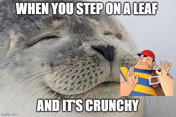 Satisfied Seal Meme | WHEN YOU STEP ON A LEAF; AND IT'S CRUNCHY | image tagged in memes,satisfied seal | made w/ Imgflip meme maker