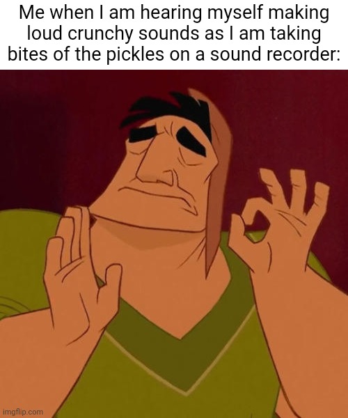 Pickles | Me when I am hearing myself making loud crunchy sounds as I am taking bites of the pickles on a sound recorder: | image tagged in when x just right,pickle,pickles,blank white template,memes,sound recorder | made w/ Imgflip meme maker