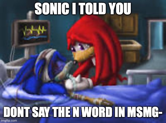 temp steal | SONIC I TOLD YOU; DONT SAY THE N WORD IN MSMG- | image tagged in sonic i told you | made w/ Imgflip meme maker