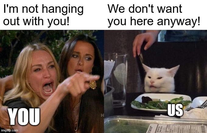 Woman Yelling At Cat | I'm not hanging out with you! We don't want you here anyway! YOU; US | image tagged in memes,woman yelling at cat | made w/ Imgflip meme maker