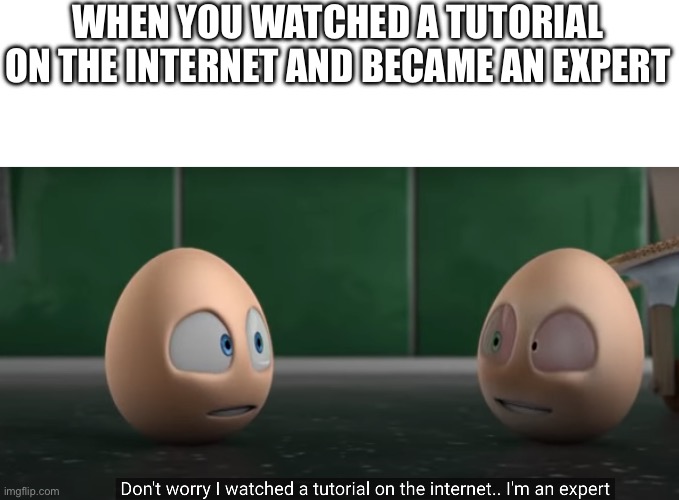 tutorial | WHEN YOU WATCHED A TUTORIAL ON THE INTERNET AND BECAME AN EXPERT | image tagged in tutorial | made w/ Imgflip meme maker