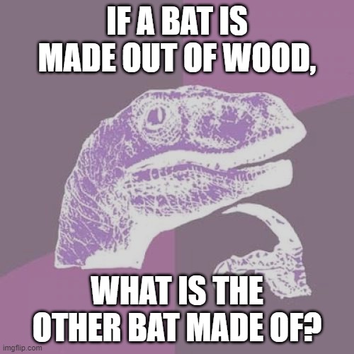 Philosoraptor Meme | IF A BAT IS MADE OUT OF WOOD, WHAT IS THE OTHER BAT MADE OF? | image tagged in memes,philosoraptor | made w/ Imgflip meme maker