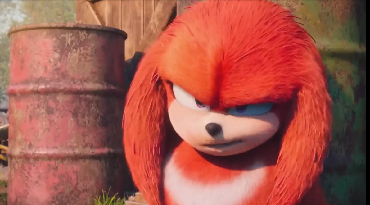 High Quality Knuckles pretended he was listening Blank Meme Template