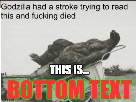 godzilla died,... bottom text | THIS IS... BOTTOM TEXT | image tagged in godzilla | made w/ Imgflip meme maker