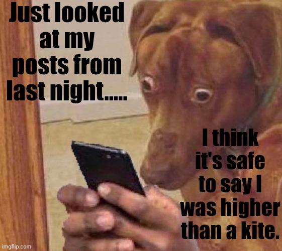 shocked dog | Just looked at my posts from last night..... I think it's safe to say I was higher than a kite. | image tagged in shocked dog | made w/ Imgflip meme maker