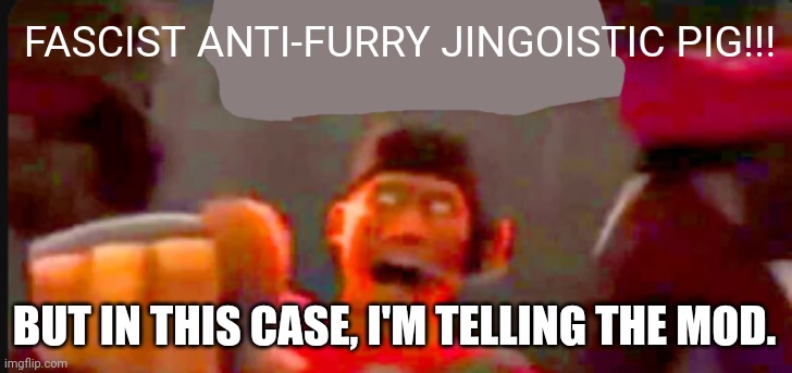 Tf2 scout pointing | FASCIST ANTI-FURRY JINGOISTIC PIG!!! BUT IN THIS CASE, I'M TELLING THE MOD. | image tagged in tf2 scout pointing | made w/ Imgflip meme maker