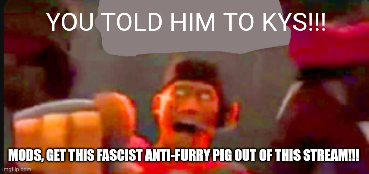 Tf2 scout pointing | YOU TOLD HIM TO KYS!!! MODS, GET THIS FASCIST ANTI-FURRY PIG OUT OF THIS STREAM!!! | image tagged in tf2 scout pointing | made w/ Imgflip meme maker
