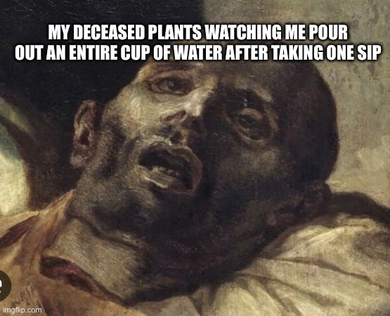 Plants | MY DECEASED PLANTS WATCHING ME POUR OUT AN ENTIRE CUP OF WATER AFTER TAKING ONE SIP | image tagged in funny | made w/ Imgflip meme maker