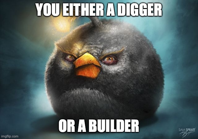 minecraft: | YOU EITHER A DIGGER; OR A BUILDER | image tagged in angry birds bomb | made w/ Imgflip meme maker