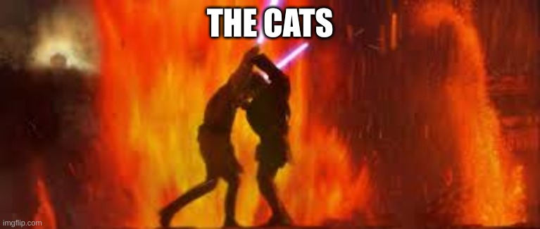 battle of the heroes | THE CATS | image tagged in battle of the heroes | made w/ Imgflip meme maker