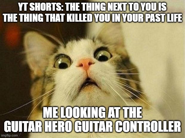 wut | YT SHORTS: THE THING NEXT TO YOU IS THE THING THAT KILLED YOU IN YOUR PAST LIFE; ME LOOKING AT THE GUITAR HERO GUITAR CONTROLLER | image tagged in memes,scared cat | made w/ Imgflip meme maker