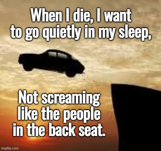 Go Quietly | When I die, I want to go quietly in my sleep, Not screaming like the people in the back seat. | image tagged in satire | made w/ Imgflip meme maker