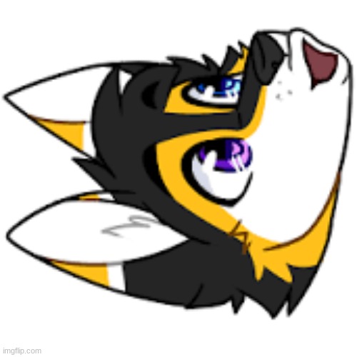 post above | made w/ Imgflip meme maker