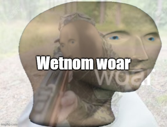 Wetnom woar | Wetnom woar | image tagged in vietnam woar | made w/ Imgflip meme maker