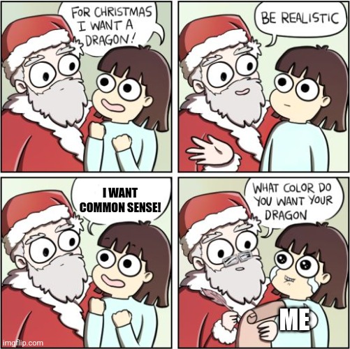 I want common sense | I WANT COMMON SENSE! ME | image tagged in for christmas i want a dragon | made w/ Imgflip meme maker