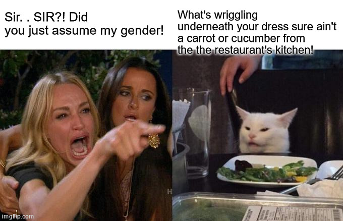 Originally a joke for a comment. Decided to submit it. | Sir. . SIR?! Did you just assume my gender! What's wriggling underneath your dress sure ain't a carrot or cucumber from the the restaurant's kitchen! | image tagged in memes,woman yelling at cat,trans,politics | made w/ Imgflip meme maker