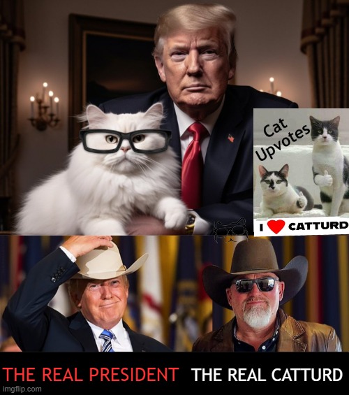 Tucker Carlson just interviewed Catturd | THE REAL PRESIDENT; THE REAL CATTURD | image tagged in politics,donald trump,catturd,real,tucker carlson,political humor | made w/ Imgflip meme maker