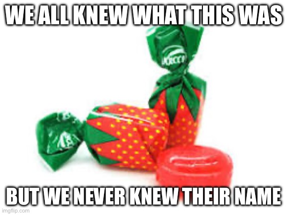 Who actually knew their name as a kid??? | WE ALL KNEW WHAT THIS WAS; BUT WE NEVER KNEW THEIR NAME | image tagged in blank white template | made w/ Imgflip meme maker