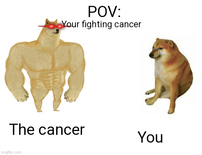 Ooooo$$f$$f | POV:; Your fighting cancer; The cancer; You | image tagged in memes,buff doge vs cheems | made w/ Imgflip meme maker