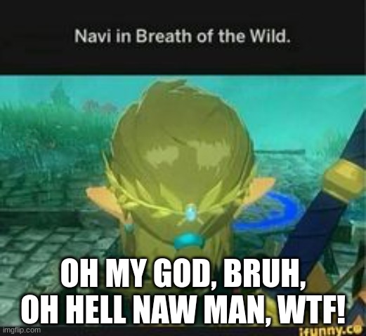 Navi | OH MY GOD, BRUH, OH HELL NAW MAN, WTF! | made w/ Imgflip meme maker