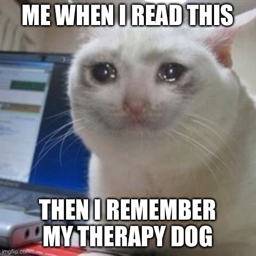 Crying cat | ME WHEN I READ THIS THEN I REMEMBER MY THERAPY DOG | image tagged in crying cat | made w/ Imgflip meme maker