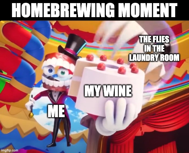 HOMEBREWING MOMENT; THE FLIES IN THE LAUNDRY ROOM; MY WINE; ME | image tagged in homebrew,brewing,brewer,tadc,the amazing digital circus,caine | made w/ Imgflip meme maker