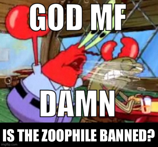 GOD MF DAMN | IS THE ZOOPHILE BANNED? | image tagged in god mf damn | made w/ Imgflip meme maker