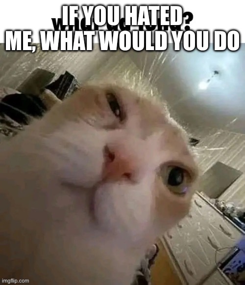 What da tuna? | IF YOU HATED ME, WHAT WOULD YOU DO | image tagged in what da tuna | made w/ Imgflip meme maker